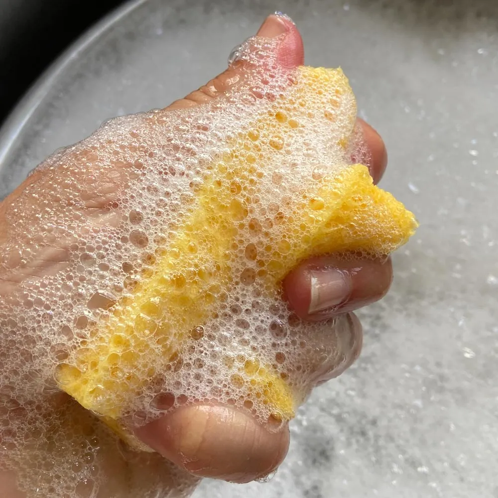 A Slice Of Green Cellulose Kitchen Sponge