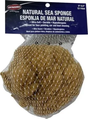 Dynamic Natural Sea Sponge.