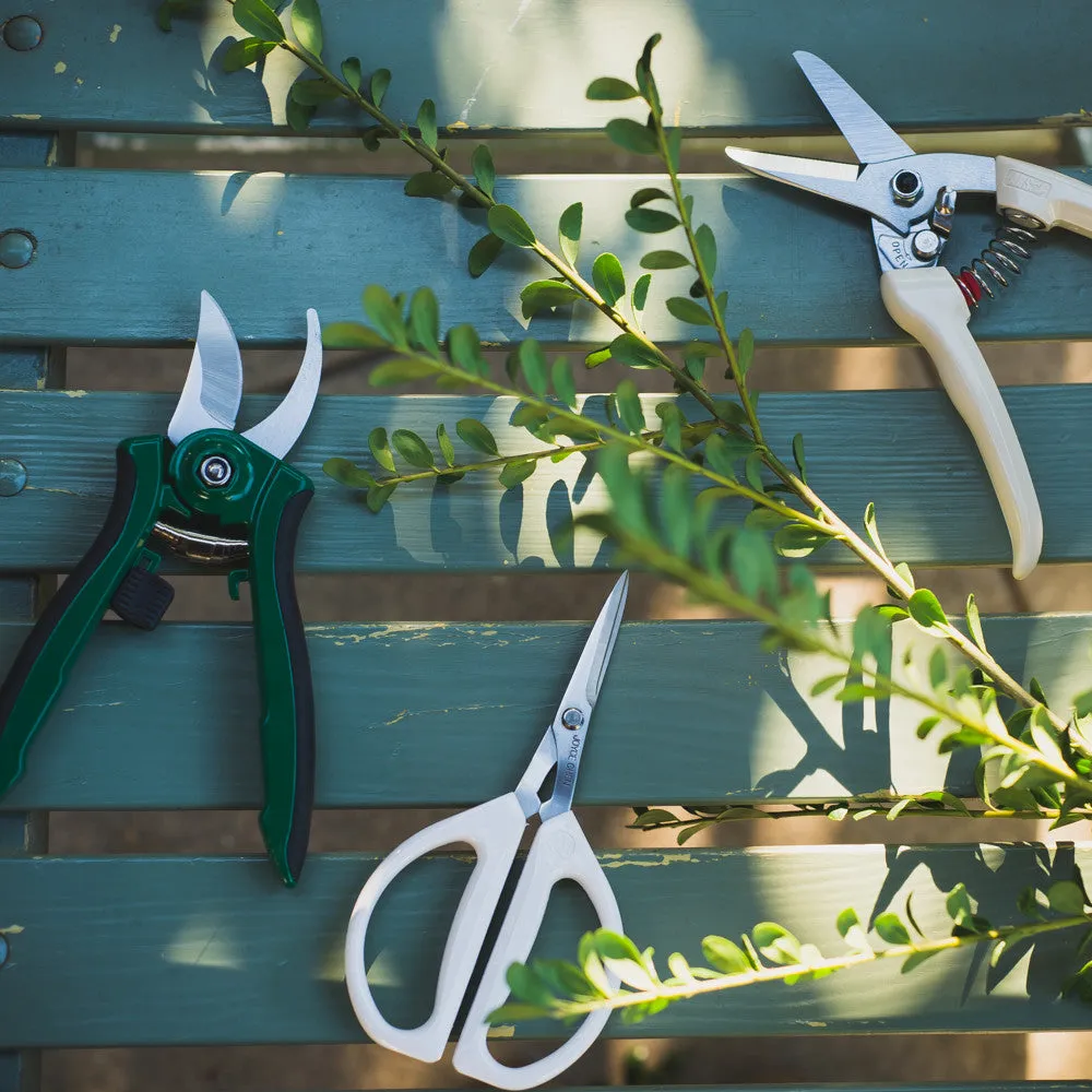 Joyce Chen Unlimited Scissors - White