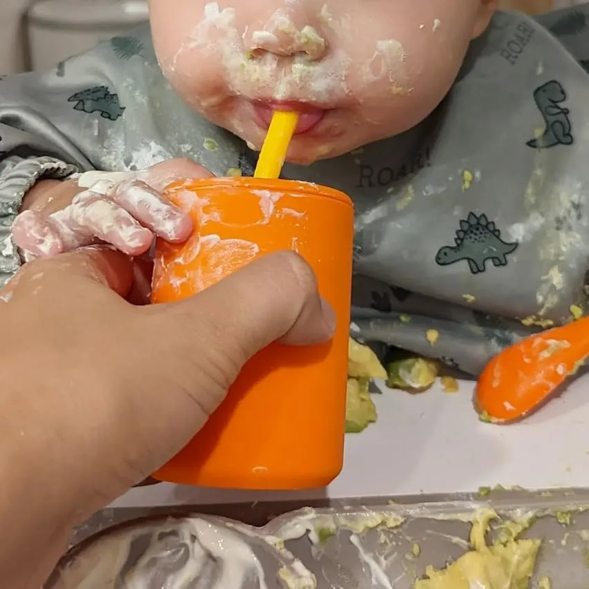 Silicone Baby Straws